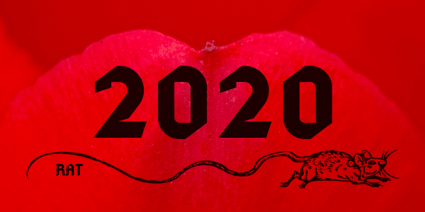 2020 : Bonne année du rat
