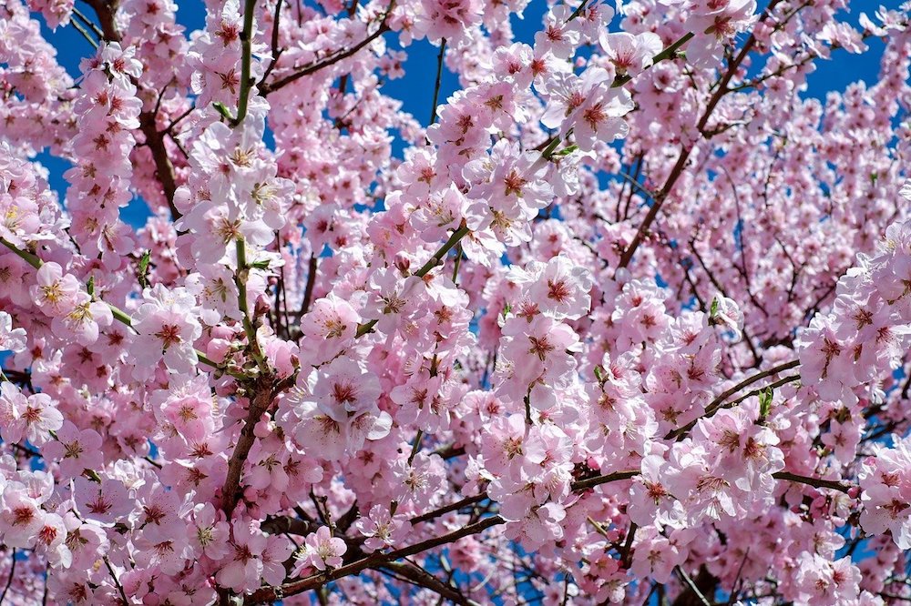 ATELIER : SAISON ÉNERGÉTIQUE DU PRINTEMPS !