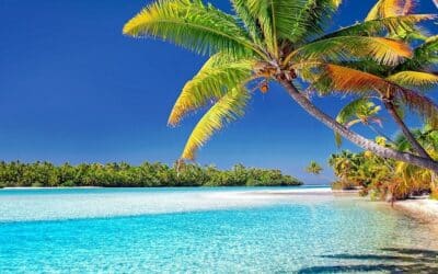 Vacances de Juillet et Bazi