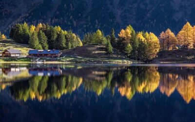 L’hiver en énergétique chinoise : saison de l’eau, du rein et du retour à l’essentiel.