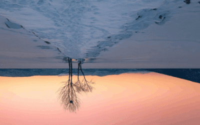 Bonnes Résolutions : Pourquoi Janvier Est le Pire Moment (neurosciences + MTC)