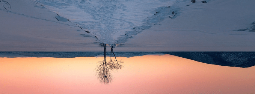Bonnes résolutions janvier - pourquoi elles échouent selon neurosciences et médecine chinoise