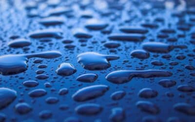 10 signes que vous êtes Gui — Maître du Jour Eau Yin en BaZi