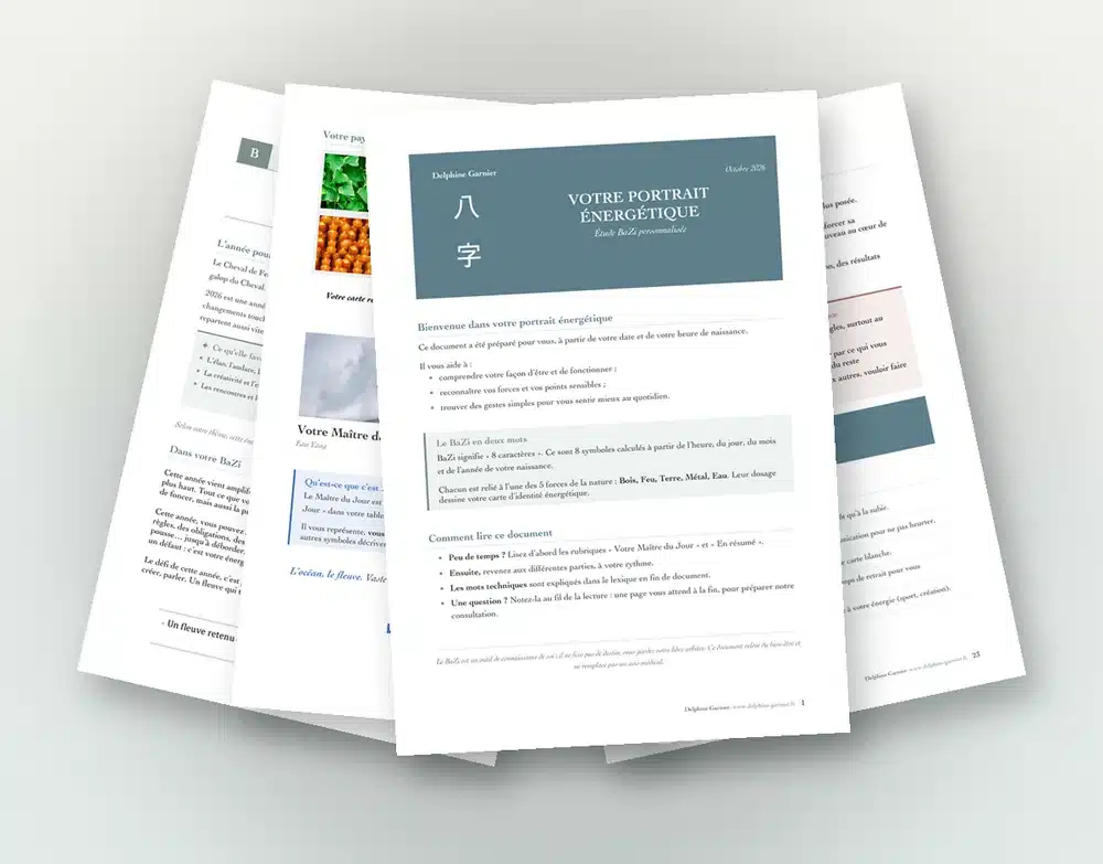 Couverture et pages intérieures du document BaZi Complet « Votre portrait énergétique », étude BaZi personnalisée par Delphine Garnier