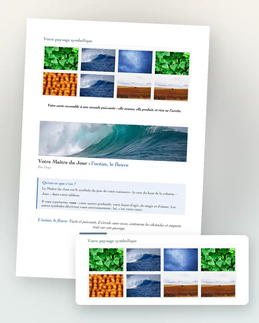 Page du document BaZi : paysage symbolique et portrait du Maître du Jour Eau Yang, l’océan