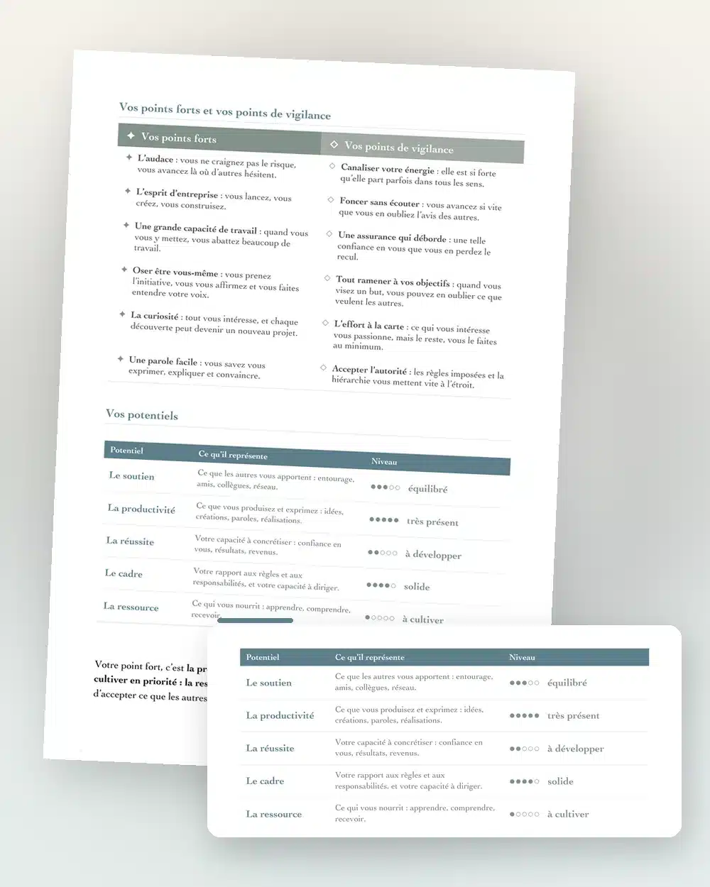 Page du document BaZi : vie professionnelle, tableau des 5 potentiels soutien, productivité, réussite, cadre, ressource
