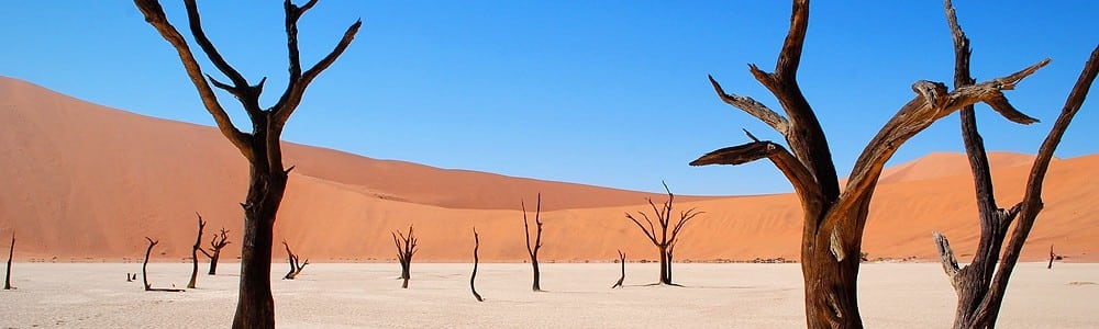 Canicule 2026 : le Cheval de Feu avait prévenu